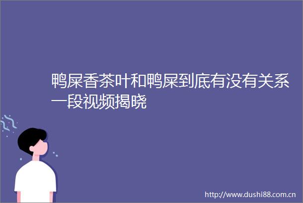 鸭屎香茶叶和鸭屎到底有没有关系一段视频揭晓