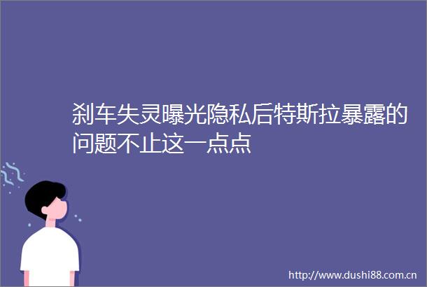刹车失灵隐私后特斯拉的问题不止这一点点