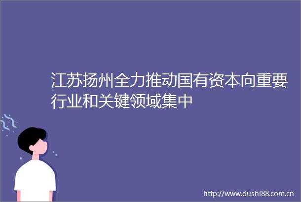 江苏扬州全力推动国有资本向重要行业和关键领域集中