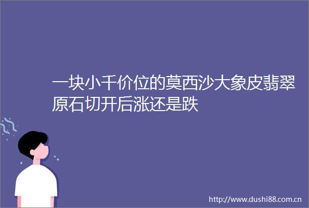 一块小千价位的莫西沙大象皮翡翠原石切开后涨还是跌