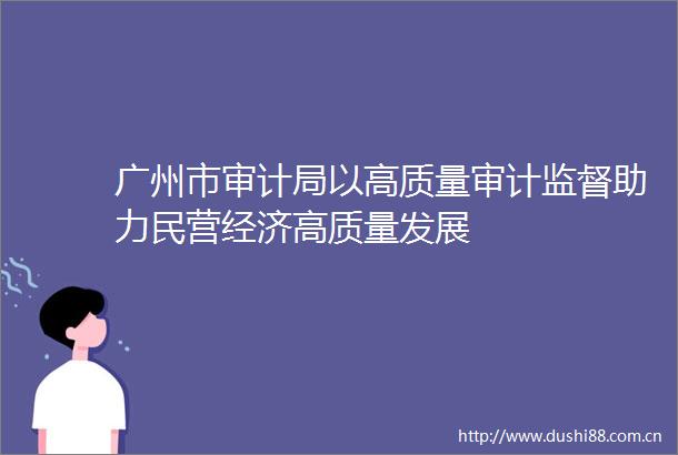 广州市审计局以高质量审计监督助力民营经济高质量发展