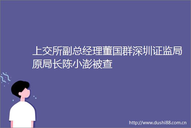 上交所副总经理董国群深圳证监局原局长陈小澎被查