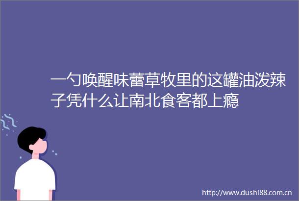 一勺唤醒味蕾草牧里的这罐油泼辣子凭什么让南北食客都上瘾