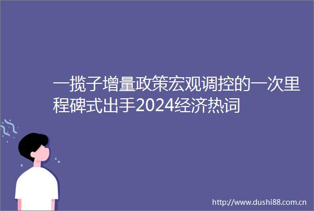 一揽子增量政策宏观调控的一次里程碑式出手2024经济热词