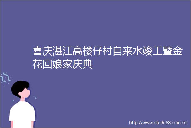喜庆湛江高楼仔村自来水竣工暨金花回娘家庆典