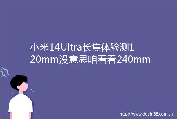小米14Ultra长焦体验测120mm没意思咱看看240mm焦段啥效果