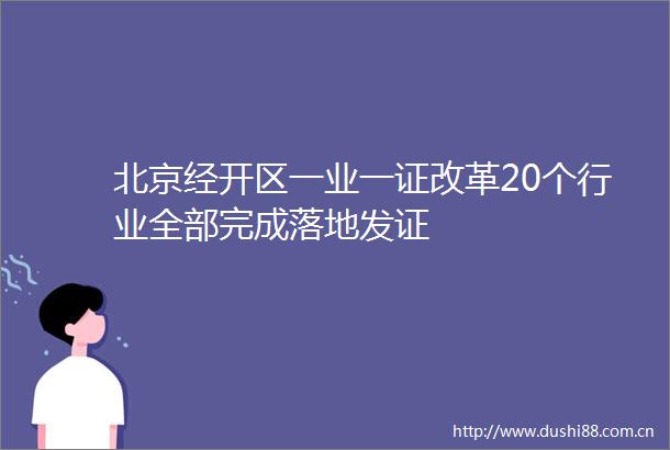 北京经开区一业一证改革20个行业全部完成落地发证