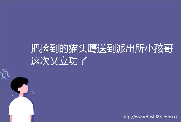 把捡到的猫头鹰送到小孩哥这次又立功了