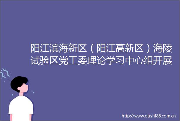 阳江滨海新区（阳江高新区）海陵试验区党工委理论学习中心组开展深入学习两个确立的决定性意义专题学习