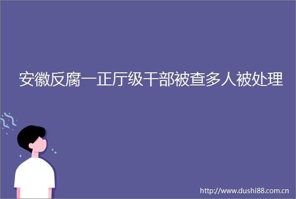 安徽一正厅级被查多人被处理
