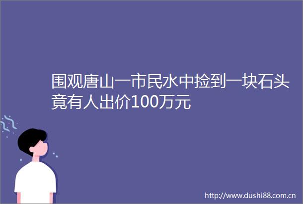 围观唐山一市民水中捡到一块石头竟有人出价100万元