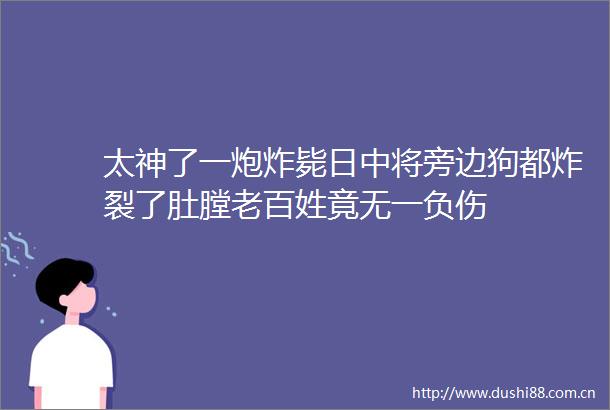 太神了一炮炸毙日中将旁边狗都炸裂了肚膛老百姓竟无一负伤