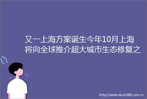又一上海方案诞生今年10月上海将向全球推介超大城市生态修复之道