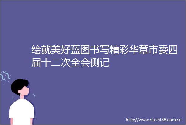 绘就美好蓝图书写精彩华章市委四届十二次全会侧记