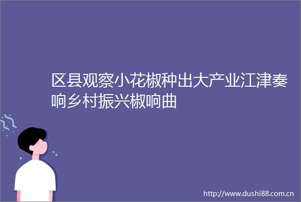 区县观察小花椒种出大产业江津奏响乡村振兴椒响曲