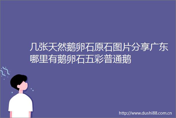几张天然鹅卵石原石图片分享广东哪里有鹅卵石五彩普通鹅