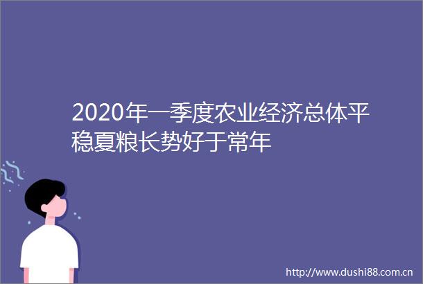 2020年一季度农业经济总体平稳夏粮长势好于常年