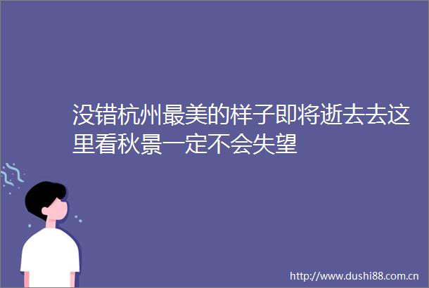 没错杭州最美的样子即将逝去去这里看秋景一定不会失望