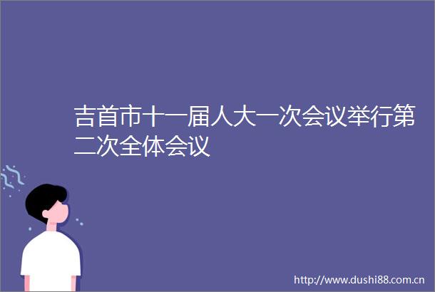 吉首市十一届人大一次会议举行第二次全体会议