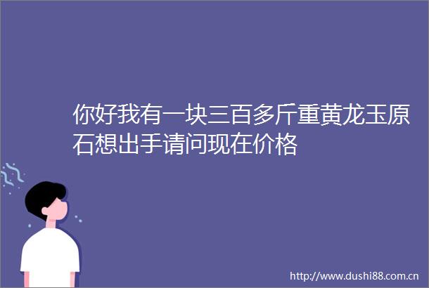 你好我有一块三百多斤重黄龙玉原石想出手请问现在价格