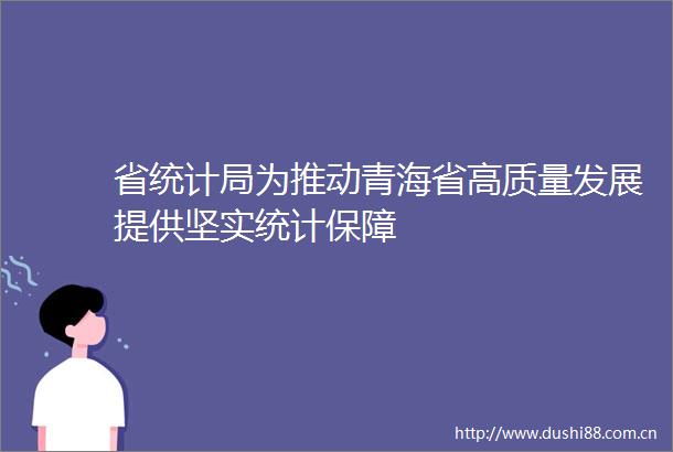 省统计局为推动青海省高质量发展提供坚实统计保障