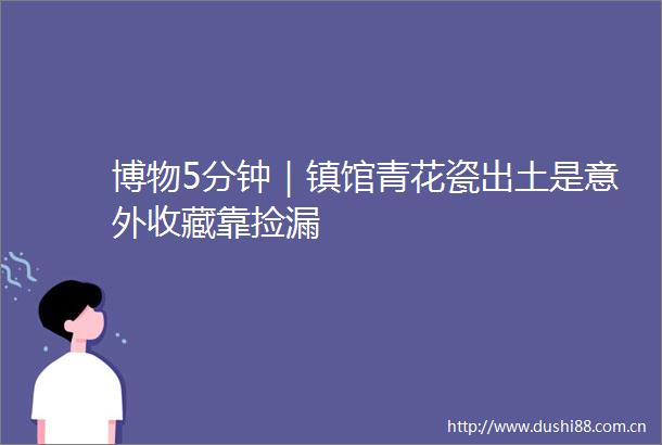 博物5分钟｜镇馆青花瓷出土是意外收藏靠捡漏