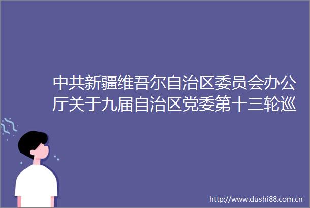 新疆维吾尔自治区委员会办公厅关于九届自治区党委第十三轮巡视整改进展情况的通报