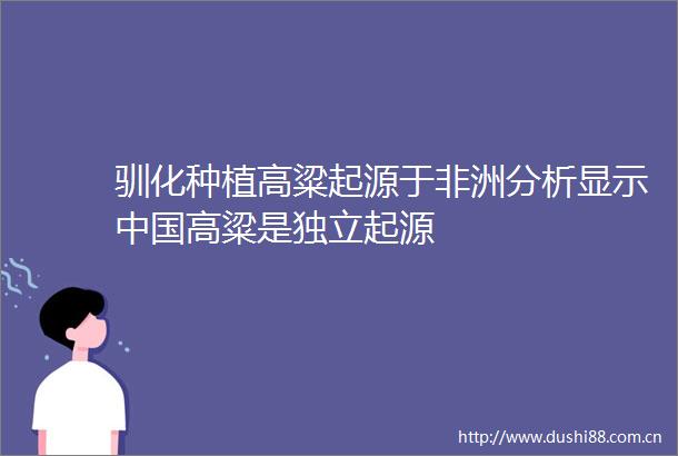 驯化种植高粱起源于非洲分析显示高粱是独立起源