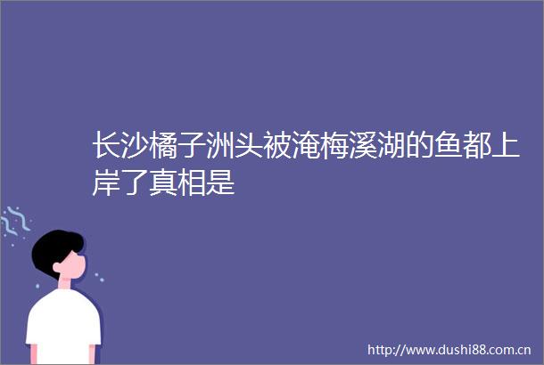 长沙橘子洲头被淹梅溪湖的鱼都上岸了真相是