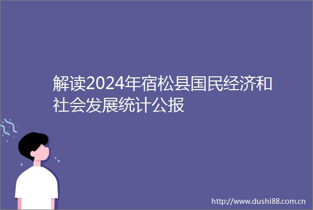 解读2024年宿松县国民经济和社会发展统计公报