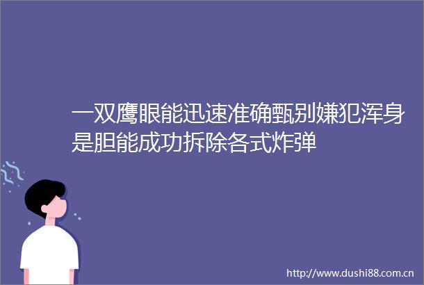 一双鹰眼能迅速准确甄别嫌犯浑身是胆能成功拆除各式