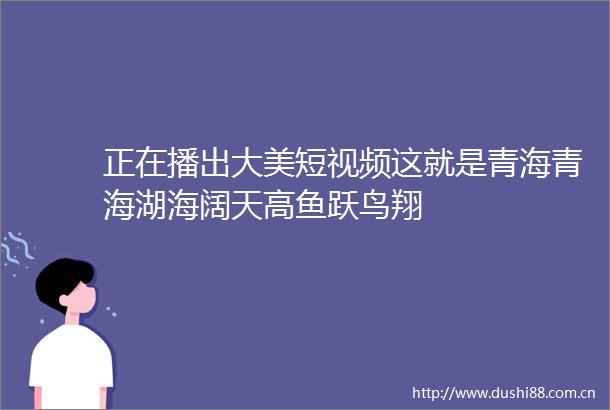 正在播出大美短视频这就是青海青海湖海阔天高鱼跃鸟翔