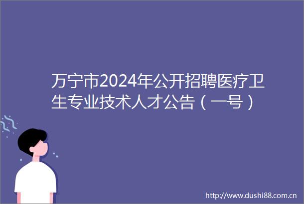 万宁市2024年公开招聘医疗卫生专业技术人才公告（一号）