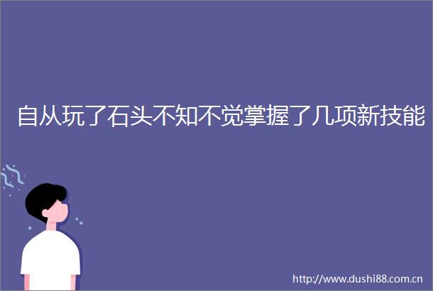 自从玩了石头不知不觉掌握了几项新技能
