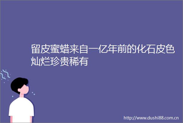 留皮蜜蜡来自一亿年前的化石皮色灿烂珍贵稀有