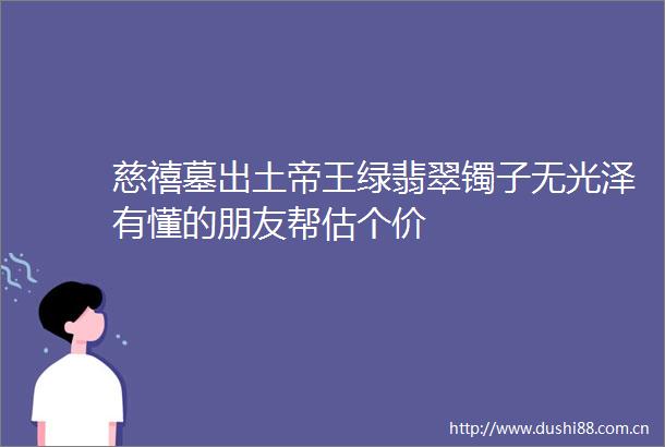 慈禧墓出土帝王绿翡翠镯子无光泽有懂的朋友帮估个价