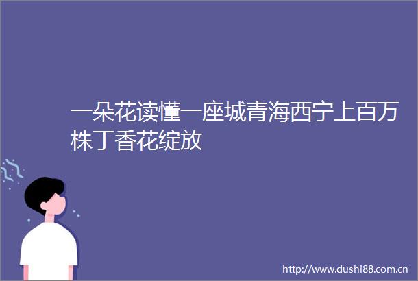 一朵花读懂一座城青海西宁上百万株丁香花绽放