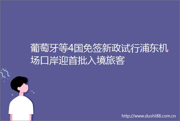 葡萄牙等4国免签新政试行浦东机场口岸迎首批入境旅客