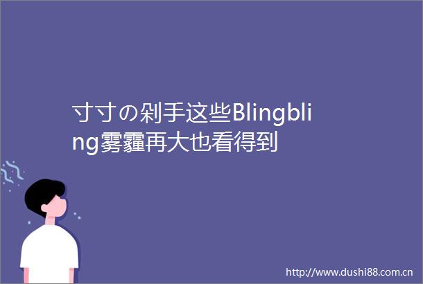 寸寸の剁手这些Blingbling雾霾再大也看得到