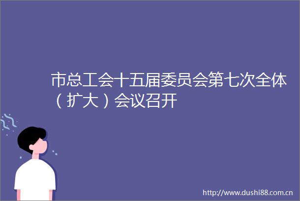 市总工会十五届委员会第七次全体（扩大）会议召开