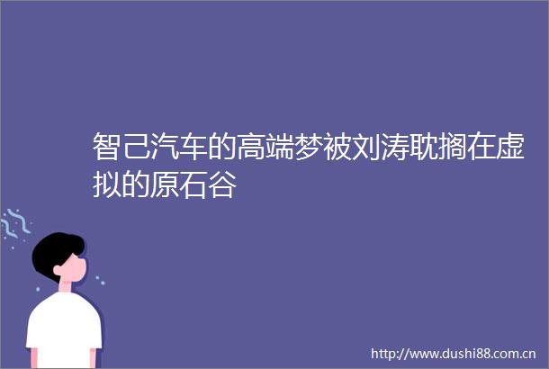 智己汽车的高端梦被刘涛耽搁在虚拟的原石谷