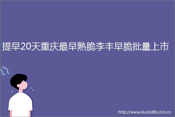 提早20天重庆最早熟脆李丰早脆批量上市