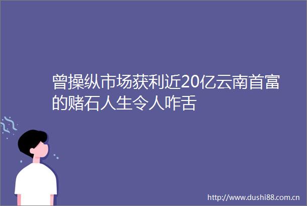 曾操纵市场获利近20亿云南首富的赌石人生令人咋舌