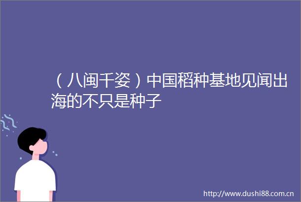 （八闽千姿）稻种基地见闻出海的不只是种子