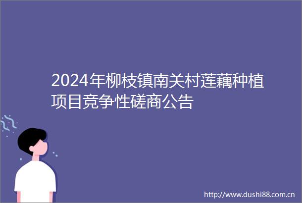 2024年柳枝镇南关村莲藕种植项目竞争性磋商公告