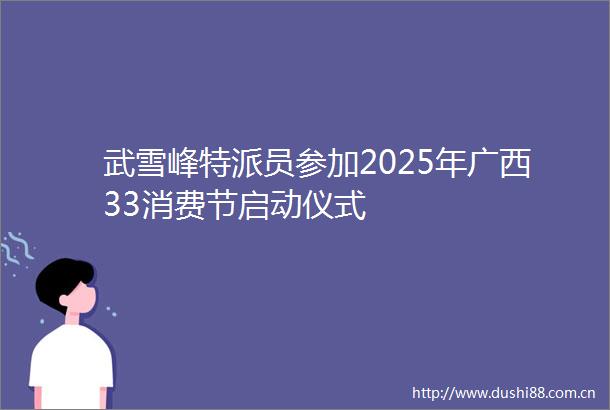 武雪峰特派员参加2025年广西33消费节启动仪式
