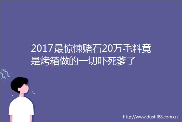 2017最惊悚赌石20万毛料竟是烤箱做的一切吓死爹了