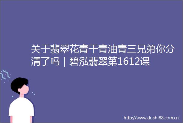 关于翡翠花青干青油青三兄弟你分清了吗｜碧泓翡翠第1612课