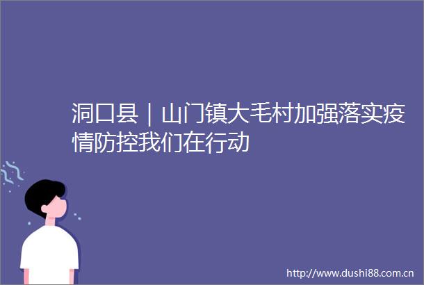 洞口县｜山门镇大毛村加强落实疫情防控我们在行动