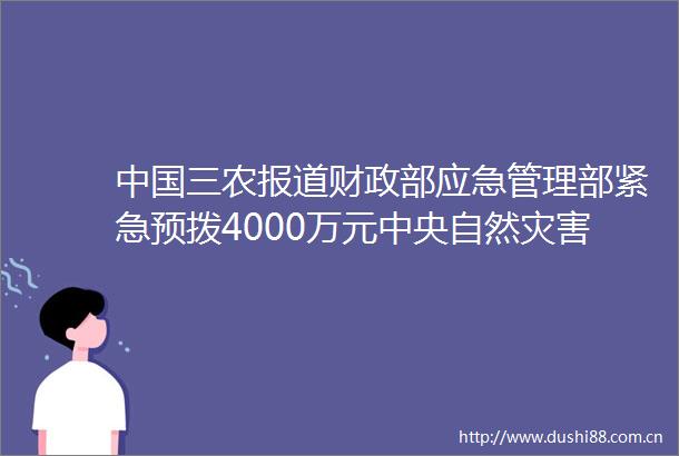 三农报道财政部应急管理部紧急预拨4000万元中央自然灾害救灾资金